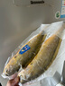 三都港 冷冻宁德大黄鱼700g/2条装 黄花鱼 生鲜鱼类 深海鱼 烧烤 实拍图