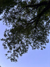 欧积二滤空调滤芯+空气滤芯滤清器起亚K3/K3S(1.4T/1.6L/1.8L)12-18款 实拍图
