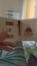 【大牌平替】香水小样高级持久留香邂逅旷野蔚蓝真我小众试香2ml 反转巴黎（2ml) 实拍图