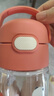 膳魔师（THERMOS）儿童大水杯壶tritan便携塑料直饮杯男女学生小熊猫水壶600ml红 实拍图