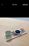 福茗源茶叶绿茶 蒙顶甘露 特级明前2025新茶四川嫩芽春茶叶礼盒送礼250g 实拍图