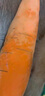 欢宠网宠物狗玩具狗狗自己玩解闷自嗨耐咬磨牙发声小狗幼犬遛狗逗狗神器 实拍图