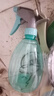 喷壶浇花浇水喷雾器气压式喷水壶家用园艺养花500ml 南瓜喷壶透蓝【1个装】 实拍图