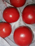 京鲜生陕西泾阳沙瓤西红柿净重3斤 单果80g起沙瓢口感番茄源头直发 实拍图