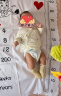 babycare皇室狮子王国弱酸纸尿裤M50片(6-11kg)中号婴儿尿不湿弱酸亲肤 实拍图