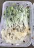 新鲜【香椿】芽苗菜可食用香椿苗香春苗冷艺新鲜蔬菜苗菜摆盘装饰 椿香浓郁香椿苗400克两盒装 实拍图