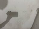 溪木源山茶花氨基酸洁面泡沫150ml*3敏感肌温和洗面奶生日礼物送女朋友 实拍图