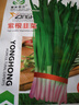 蔬菜种子四季播盆栽阳台庭院香菜生菜菠菜萝卜葱简单易种籽孑大全 紫根韭菜约300粒 实拍图