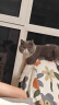 奥丁（ODIN）全价冻干双拼猫粮 鲜肉美毛 宠物主粮幼猫成猫通用型猫粮10kg 实拍图