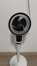 扬子电风扇家用空气循环扇落地扇遥控电风扇家用电扇立式摇头遥控办公室桌面风扇 【年度金榜】升级远程遥控 实拍图