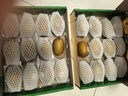 佳沛（zespri）新西兰 阳光金奇异果12粒礼盒特大果单果约122-146g 猕猴桃 水果 实拍图