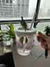 星巴克（Starbucks）杯子韩国渐变藤编透明玻璃杯带把手大容量耐热咖啡水杯生日礼物 粉色小熊玻璃杯400ml+盖子吸管 实拍图