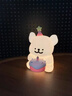 OEIN可爱线条睡眠小狗小夜灯氛围摆件生日礼物礼物卧室创意女生节日 【粉色】蛋糕线条小狗 【1个装】 高度8.8cm 全新出厂 实拍图
