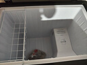 海尔（Haier）冰柜家用京东自营100升以上风冷无霜小冰箱小型冷柜-38度超低温BC/BD-159WGHED家电国家补贴20% 实拍图