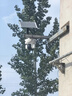 霸天安4G太阳能摄像头 监控室外免插电无需连wifi终身免流量 监控器360度无死角带夜视 全景追踪手机远程 实拍图