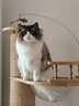 FURminator富美内特猫梳子布偶长毛猫梳毛刷猫用宠物梳子去毛神器梳毛神器 长毛中大型猫≥4.5kg 实拍图