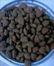 麦富迪猫粮 藻趣儿12.5kg 成猫（鸡肉螺旋藻） 实拍图