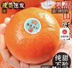 芫曦【现货】云南哀牢山冰糖橙柑橘脐橙新鲜水果应当季送礼品物盒 5斤 单果65-75mm 净重4.5斤 实拍图
