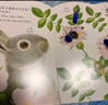 亮丽精美触摸书-小兔比利（中英双语）低幼认知绘本 幼儿启蒙仿真触感触摸书 【0-2岁】 宝宝绘本省钱卡 实拍图