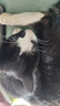 伟嘉幼猫猫粮夹心粮 全价粮1.2kg海洋鱼味 布偶蓝猫橘猫英短猫咪 实拍图