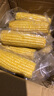 守望乡村（KEEP W-VILLAGE GO）新鲜东北玉米 早餐粗粮苞米棒黏粘甜糯玉米棒真空包装 黄色玉米12支 （单支200g以上） 实拍图
