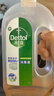 滴露（Dettol）洗衣消毒液衣物消毒水750mL除螨 家居宠物地板杀菌 非84酒精 实拍图