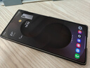 三星Samsung Galaxy S25 Ultra 超拟人AI助理 2亿像素 AI拍照 翻译手机 游戏手机 12GB+512GB 钛雾灰 实拍图