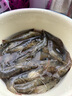 鳗鱼皇后烤鳗鱼蒲烧（评价50万+）整条450g海鲜预制菜加热即食生鲜宵夜 实拍图