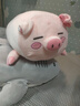 赟娅飞天猪毛绒公仔长条抱枕小猪布娃娃陪睡玩偶床上夹腿专用沙发靠枕 【眯眼1.1米】升级加大内胆可拆洗 实拍图