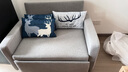 澳诺澜 沙发床两用北欧简约小户型多功能可折叠储物收纳收缩伸缩布艺床 外径1.2米【亲肤棉麻+可储物】 豪华乳胶款 实拍图