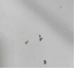 索爱 S350无线磁吸领夹小蜜蜂扩音器教师专用蓝牙音箱音响防啸叫TF卡U盘喇叭麦克风导游户外便携式 金 实拍图