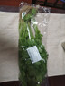 带根香菜100g 实拍图