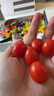 新鲜采摘圣女果樱桃小番茄蔬菜 带箱5斤精选果 实拍图