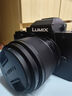 松下（Panasonic）G100D 微单/单电/无反数码相机 专业收音 翻转自拍Vlog-L相机 学生相机 内置三个麦克风 G100D单机+【25mmF1.7】单镜头定焦 实拍图