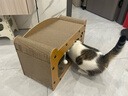珍宠星球猫抓板猫窝一体耐磨不掉屑猫爪板四季通用双层猫屋沙发防猫抓玩具 实拍图