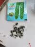 春蝶蔬菜种子四季播盆栽阳台庭院黄瓜豆角番茄甜瓜易种籽孑大全 长绿苦瓜【1包约10粒】 一包(试种贵在快递费) 实拍图