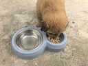 疯狂小狗小耳朵冻干夹心狗粮比熊小型犬幼成犬粮鸡肉兔肉鸭肉组合4.5kg9斤 实拍图