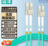 山泽(SAMZHE)光纤跳线 电信级万兆LC-LC多模双芯OM3-300 低烟无卤 光纤线 收发器尾纤 5米G3-LCLC05 实拍图