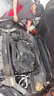 嘉实多（Castrol）机油保养单次卡 嘉实多智E极护全合成  0W-20 C5 6L 30天可用 实拍图