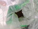 疯狂小狗 中大型幼犬成犬狗粮边牧边境牧羊犬专用全价粮20斤狗粮10kg 实拍图