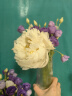 吕姆克花瓶玻璃花瓶摆件工艺品插花仿真干花富贵竹水养花瓶中号透明5043 实拍图
