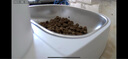 西屋宠物自动喂食器智能猫粮碗可视版投食机定时定量视频监控 宠物喂食器 实拍图