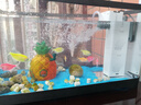 森森 小鲤鱼缸过滤器净水循环三合一内置水族箱过滤系统XQP-500F 6W 实拍图