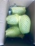 元珍鲜诚 海南青皮芒果 新鲜水果 热带大青 芒果 孕妇整箱现摘当季水果 5斤（净重4.5斤） 单果200g+ 实拍图