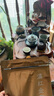 福茗源茶叶 滇红金芽红茶 蜜香特级滇红茶2025新茶袋装250g春茶叶自己喝 实拍图