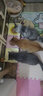 LEGENDSANDY蓝氏全价猫粮成猫幼猫生骨肉冻干粮 猎鸟乳鸽500g 实拍图