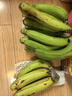 精品云南香蕉高山香蕉现摘新鲜水果甜生青香蕉banana自然熟绿皮 精品高山蕉 9斤 实拍图