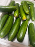 京喜加新鲜无刺水果小黄瓜小青瓜脆甜荷兰脆嫩生吃黄瓜蔬菜 水果黄瓜 3斤 带箱 实拍图