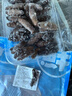 鲜拔头筹海参 即食海参海鲜正宗大连辽参刺参500g一斤开袋即食 即食辽参 一斤13-15头 实拍图