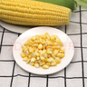 佳农宝菜山东新鲜水果甜玉米约3-4根装净重3斤当季现摘源头直发 实拍图